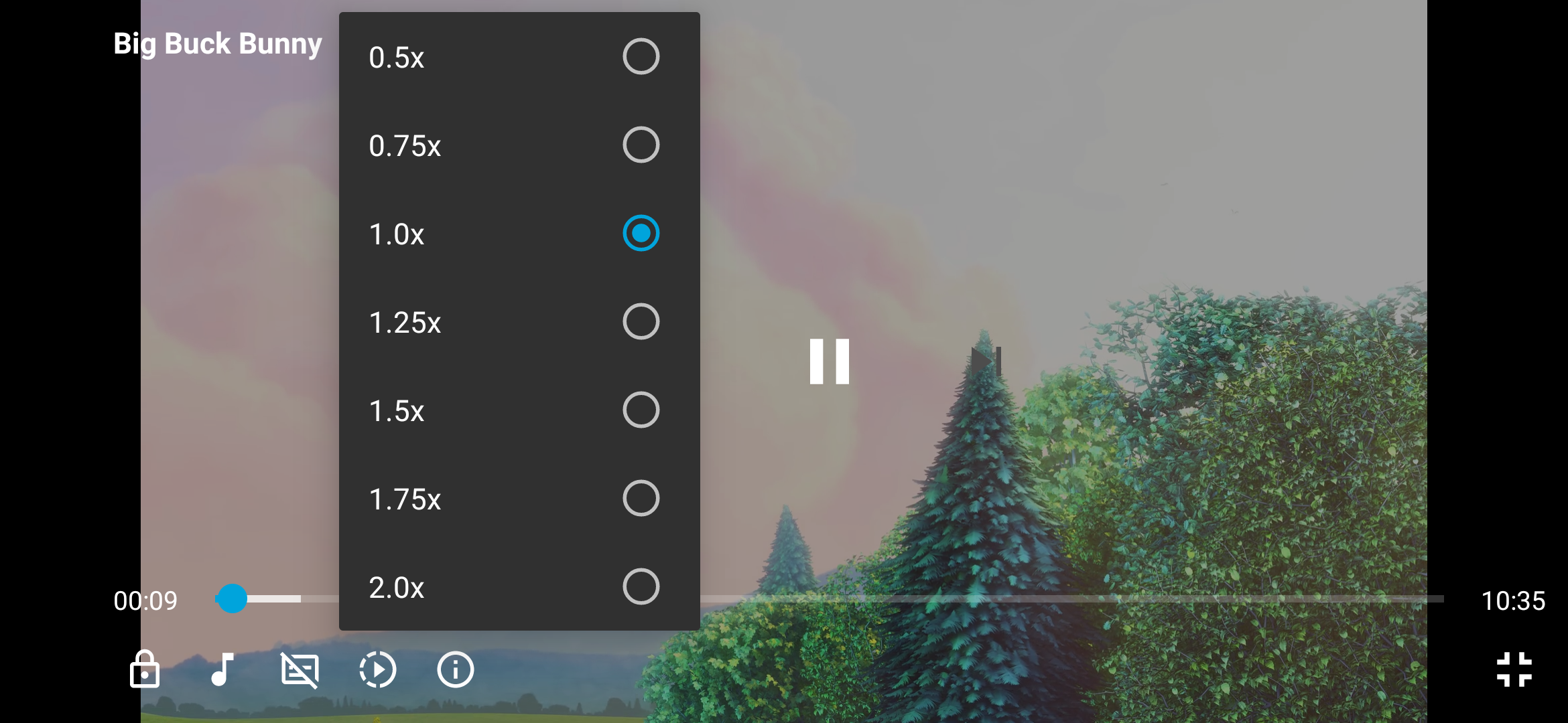 Playback speed controls